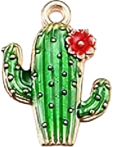 SELECT YOUR CHARMS HERE