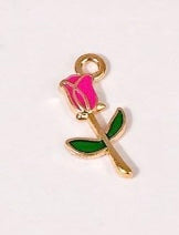 CHARMS