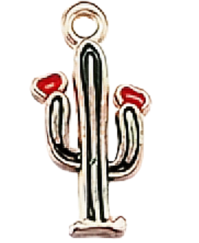 SELECT YOUR CHARMS HERE