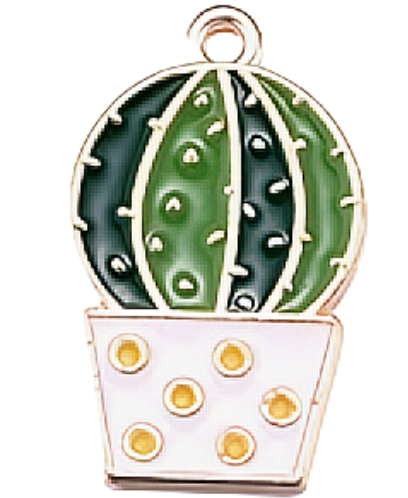 SELECT YOUR CHARMS HERE