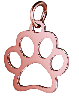 RG Paw